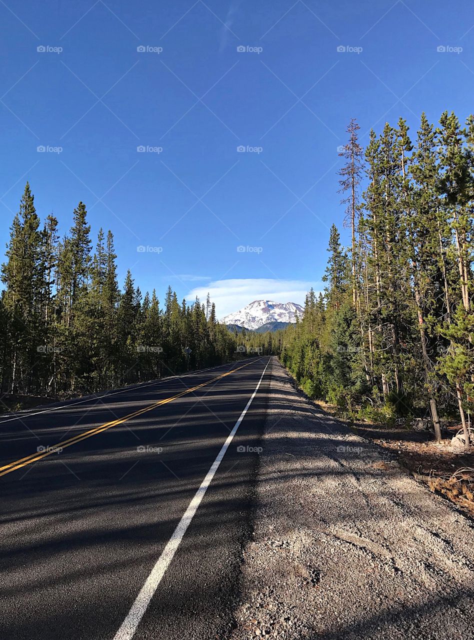 The Cascades Lakes Highway in the forests of Central Oregon with the snow covered South Sister in the background on a sunny fall day. 