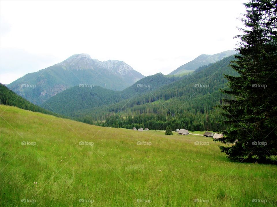 Chochołowska Valley in the Tatra Mountains