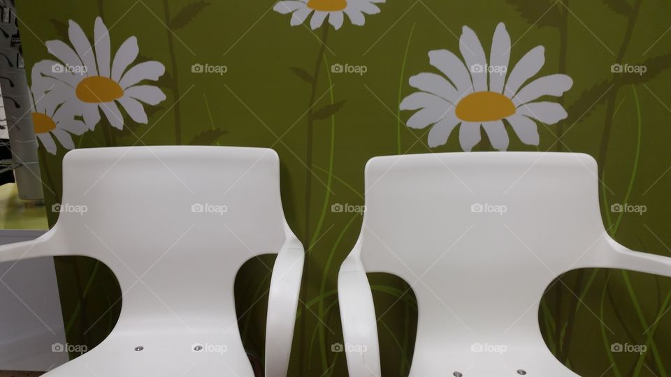 Leaf, No Person, Seat, Flora, Empty