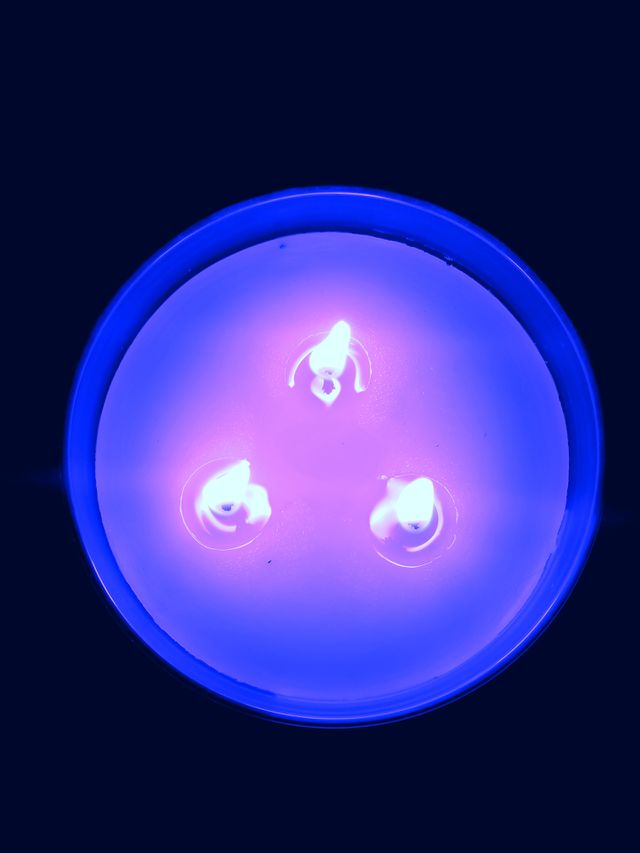 shine bright