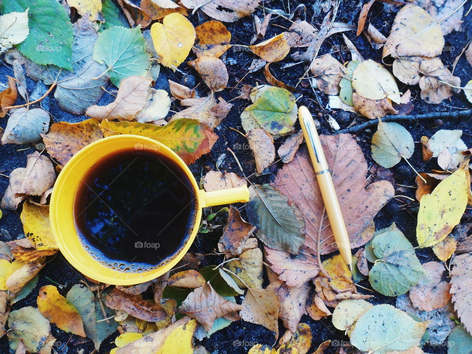 a cup of black tea on autumn leaves