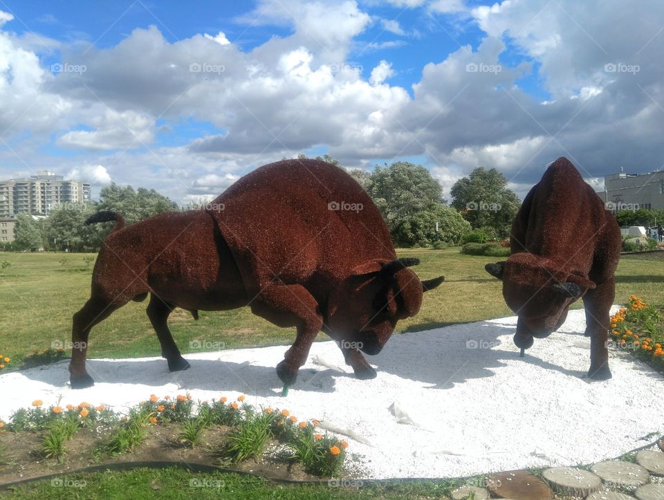 figure animals Olympics street art landscape in the Minsk city Belarus