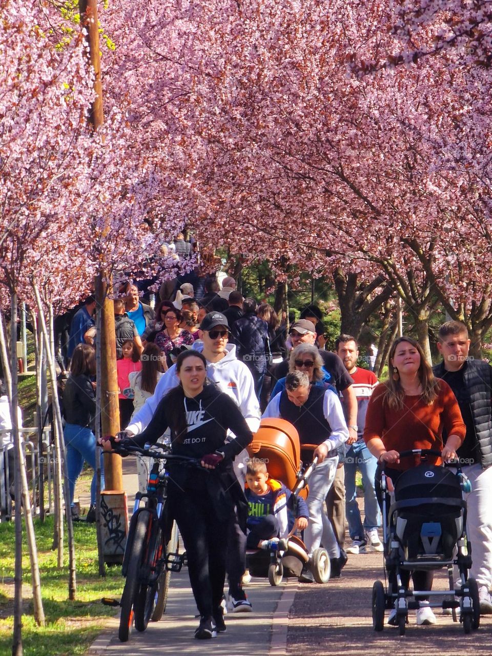 crowds of people in park