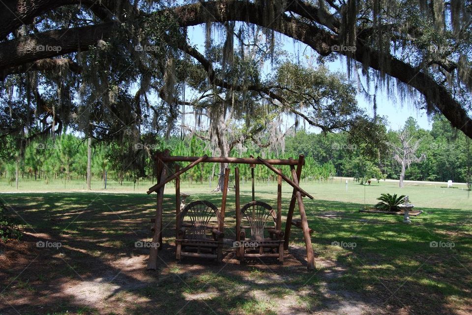 Swing under oak tree with moss