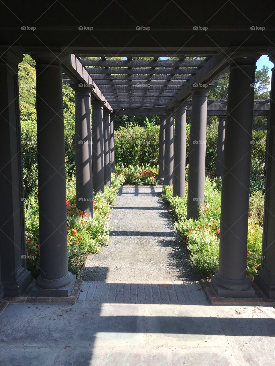 A lovely walkway through a fancy garden. 