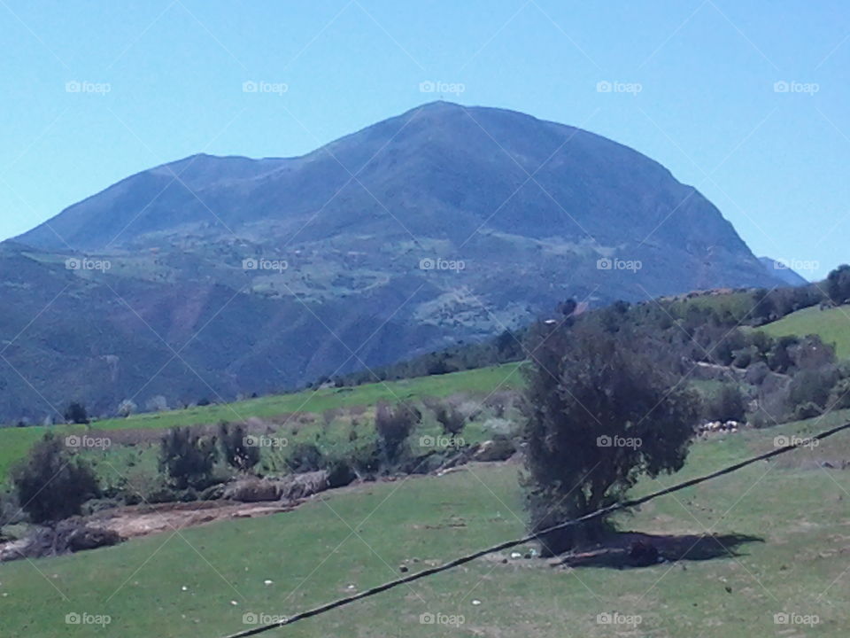 Field and Mountains - Algeria