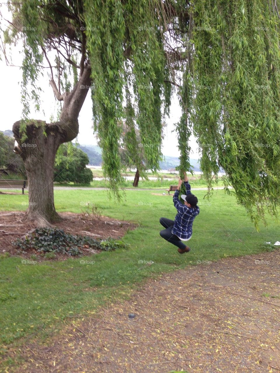 Chase swinging on a Weeping Willow