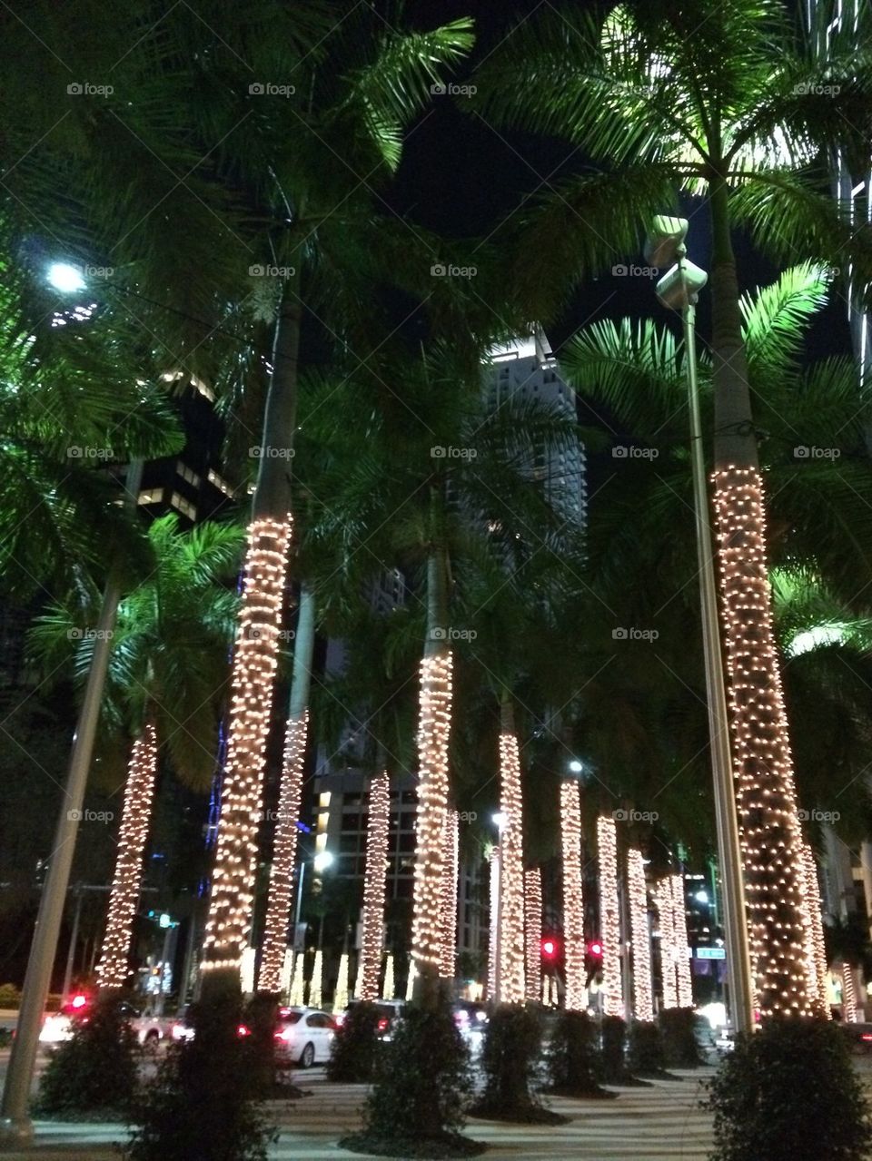 Miami Christmas 