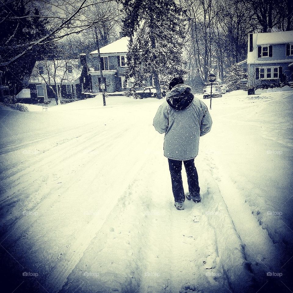 A Walk in the Snow 