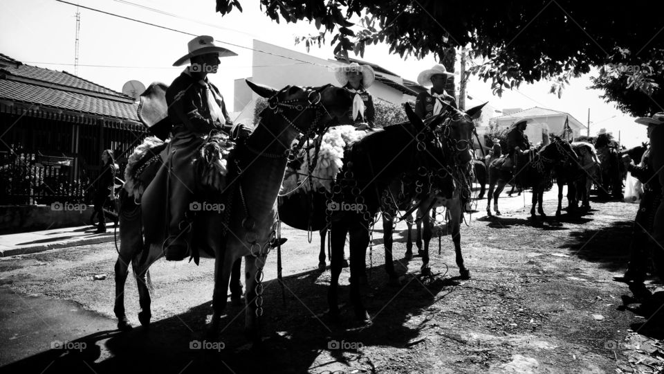 Confraternização, cavalgada nas ruas. Homens e mulheres.  Desfile com animais; tropas,  boiadas e veículos.