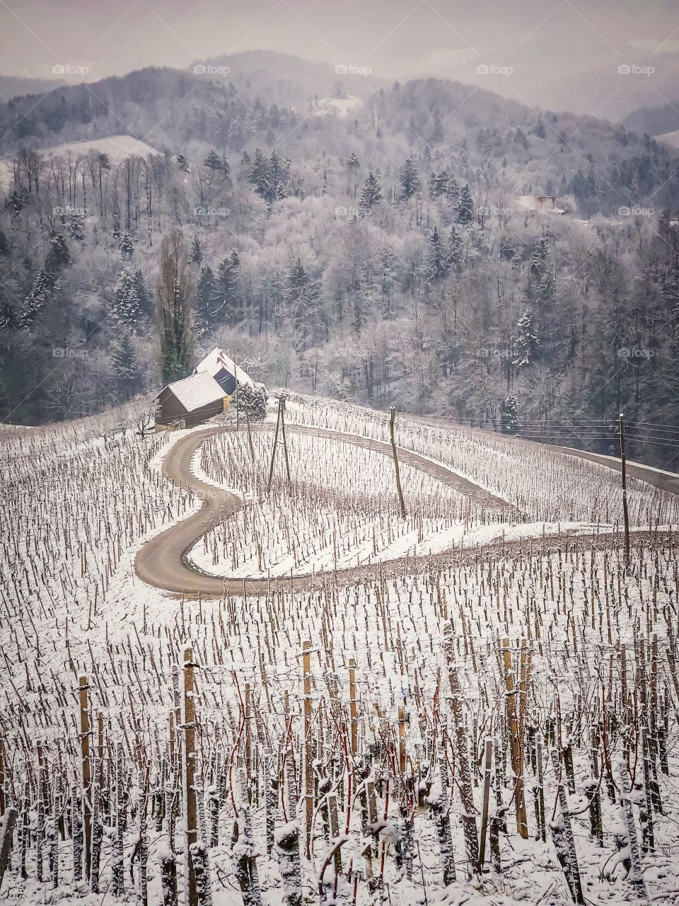 Romantic winter road 