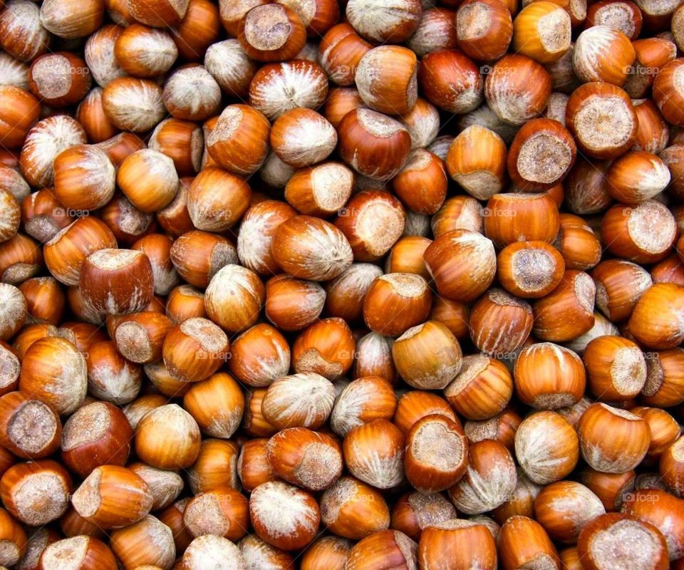 Кладовая природы