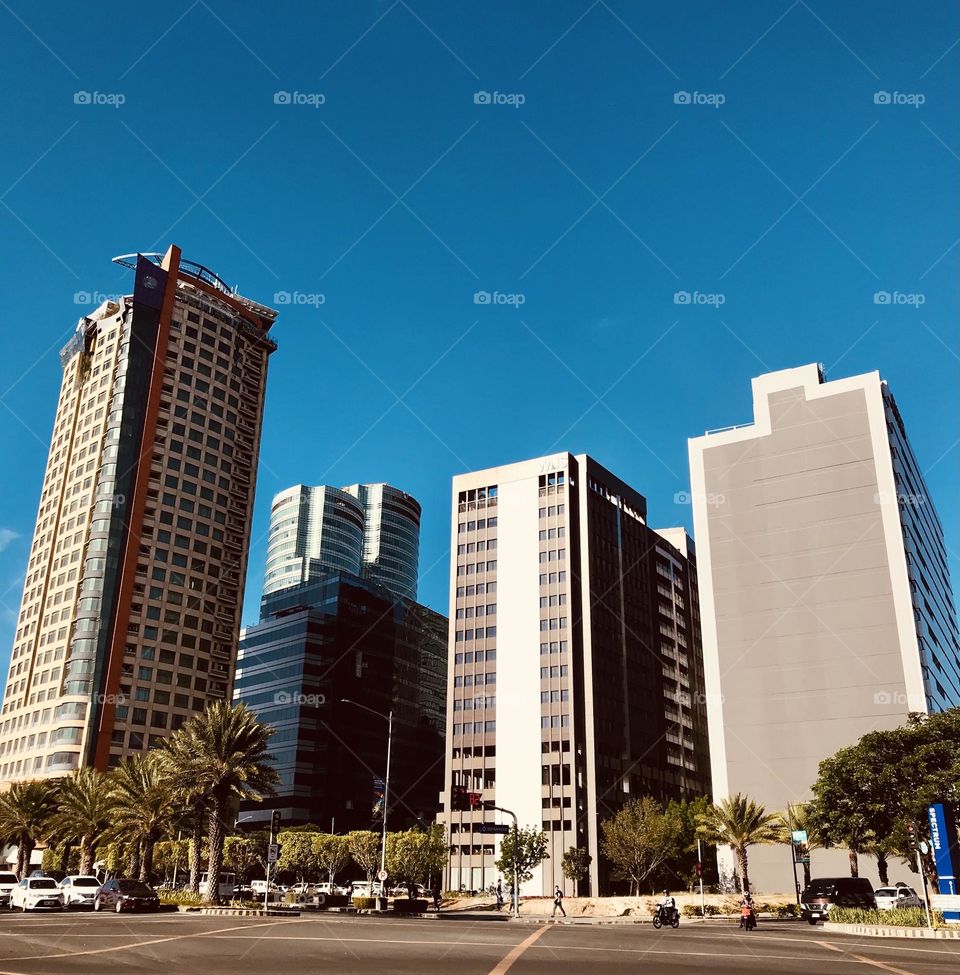 Welcome to the [concrete] jungle. 