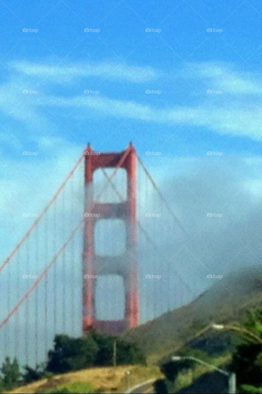 SF bridge3