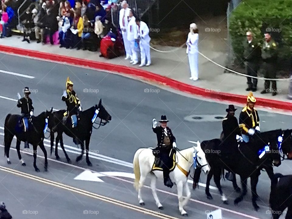 Rose parade