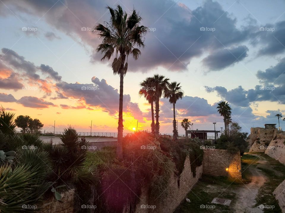 Sunset Palms and walls in Caesarea Philippi