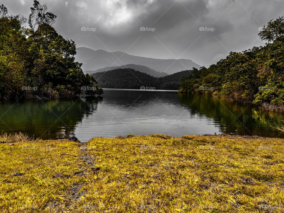 mobile nature  photography