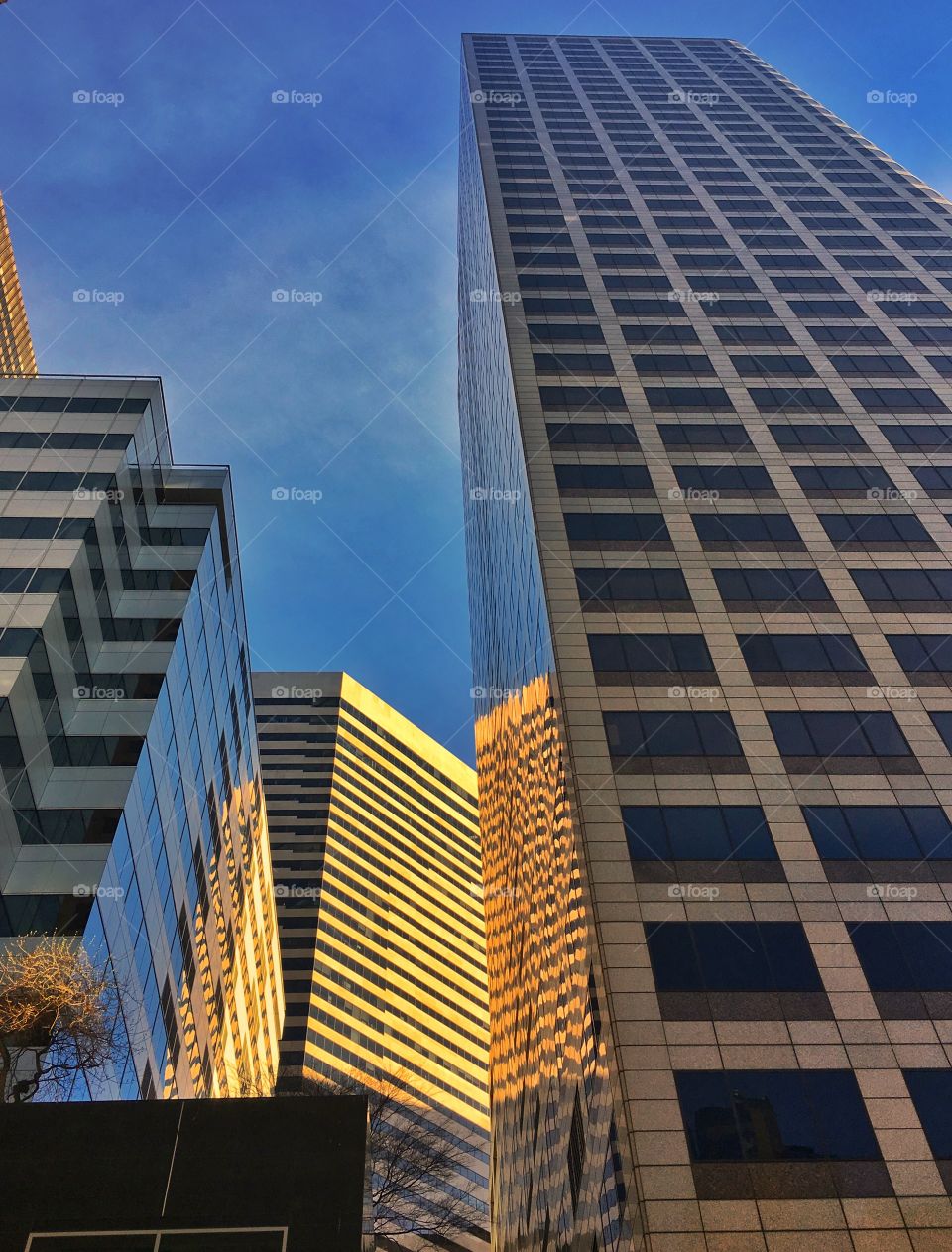 Seattle Office Tower Reflections 