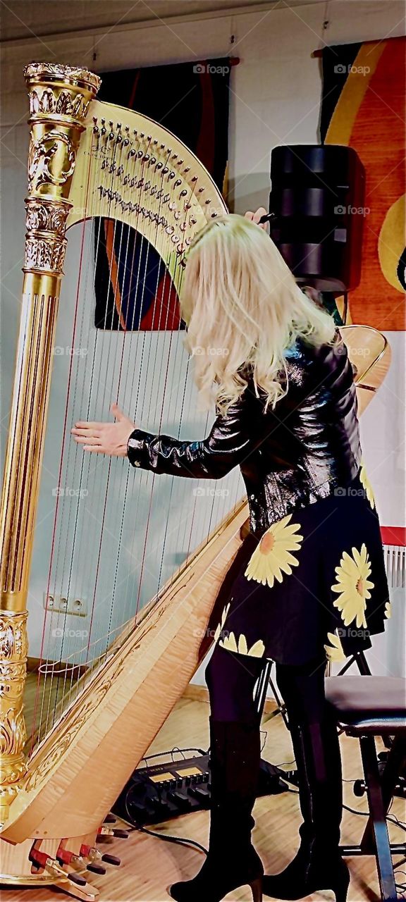 This adult human sized harp is truly a magnificent instrument and it conveys sheer joy to see it being played. It is sort of like a dance setting all these strings in motion. 2023. Hypnotic Productions