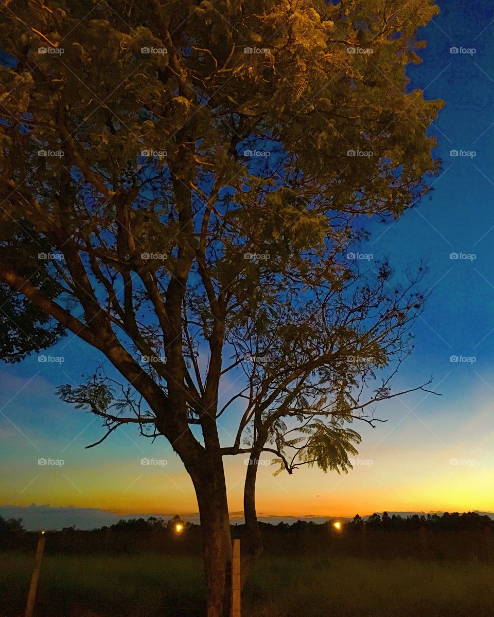 Uma das paisagens mais bonitas aqui de Jundiaí: o amanhecer no Bairro Medeiros!!!