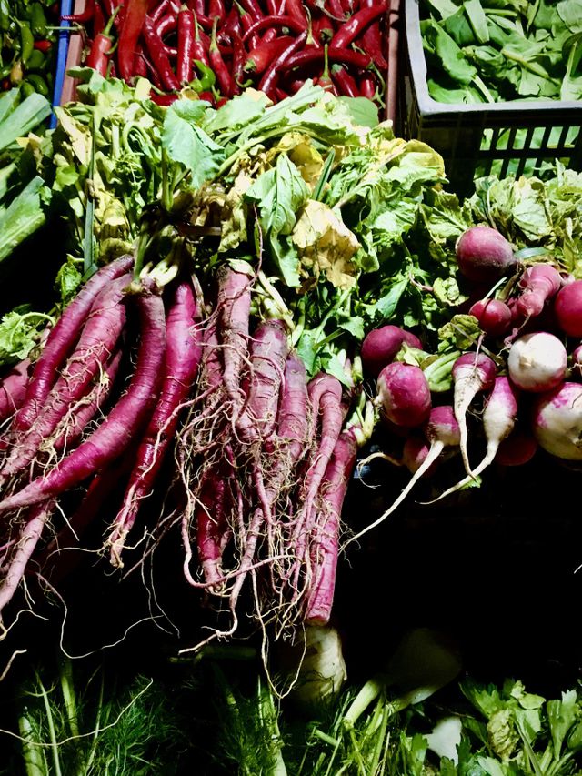 Season of radish