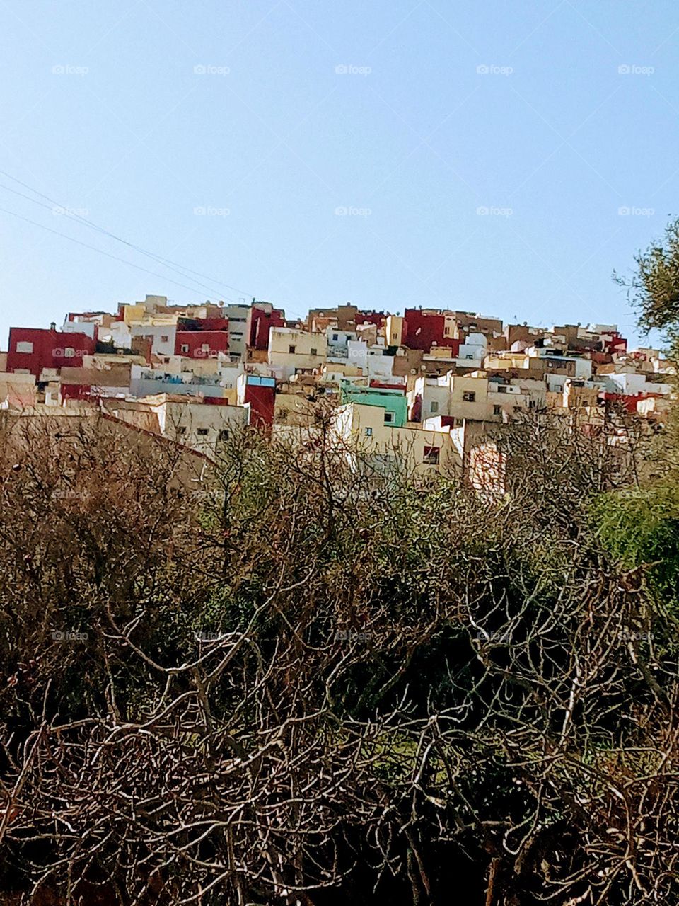 population between the nature