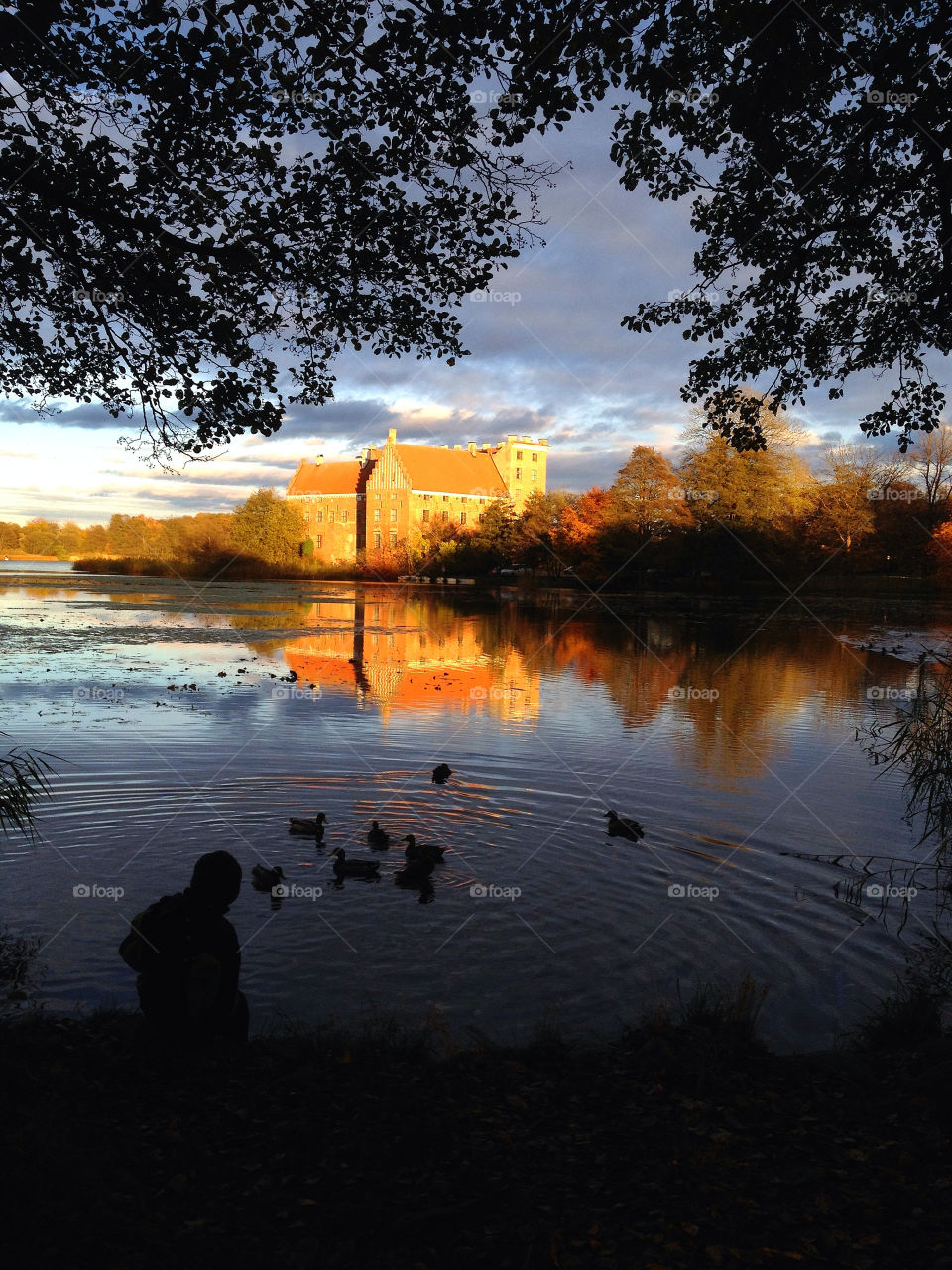 sweden pond ducks castle by elluca