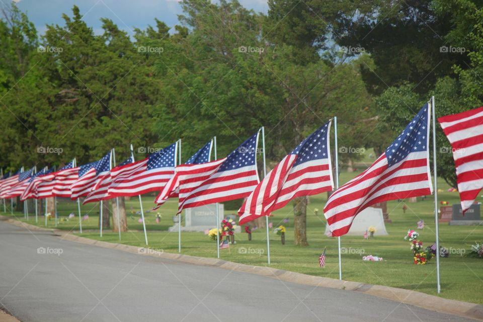 Long Row of American Flags 