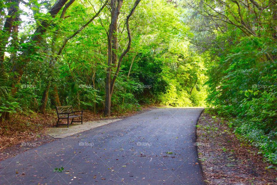 Walking path in nature