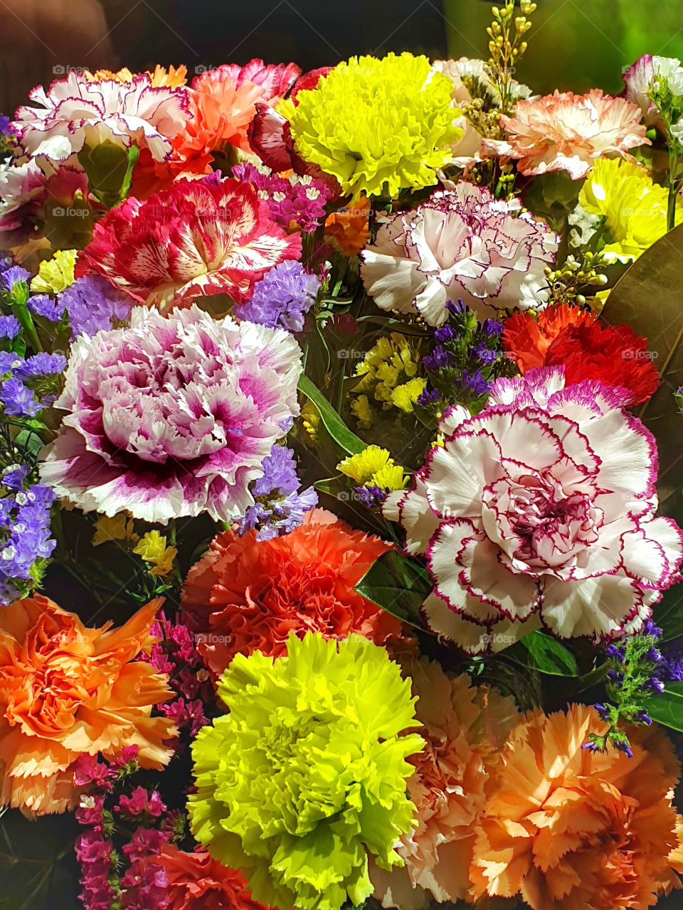 Colorful carnations