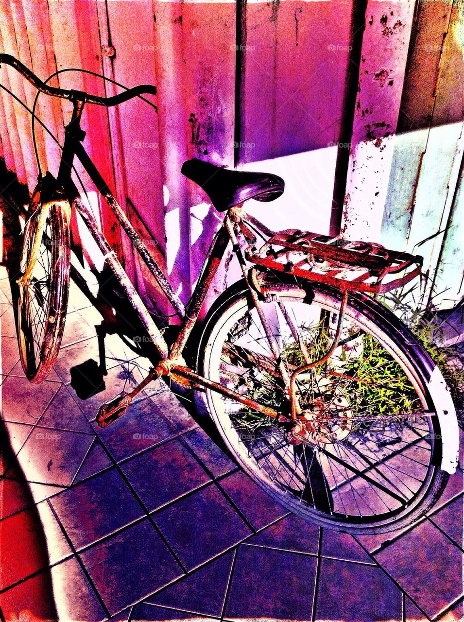 An old bicycle