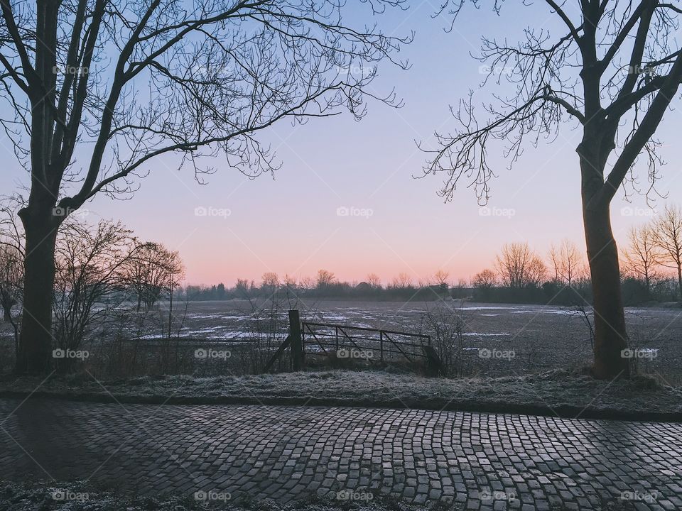 Winter landscape
