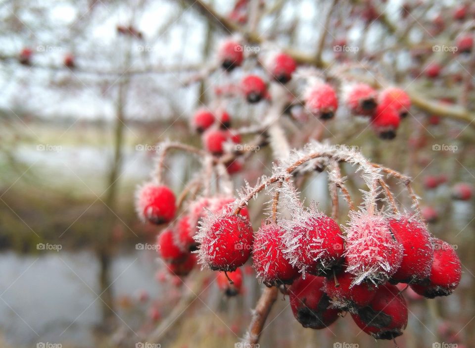 the signs of winter