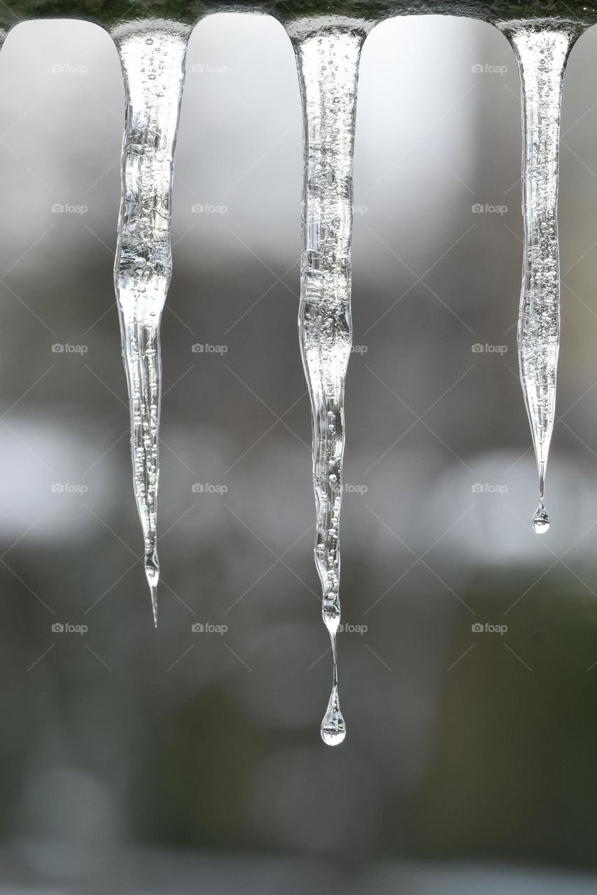 Photo of frozen icicles in winter season 