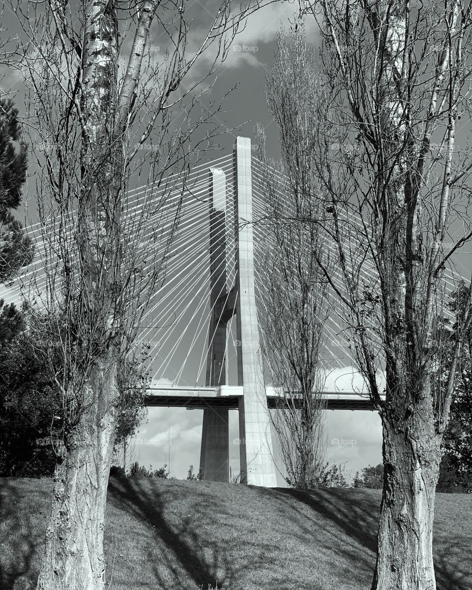 the best architecture ever