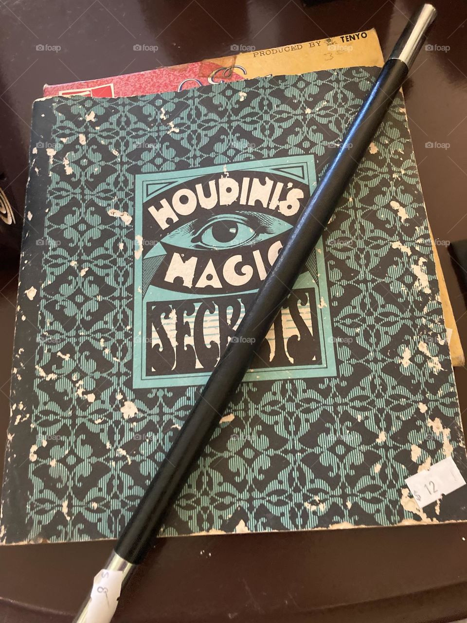 Houdini magic book and wand