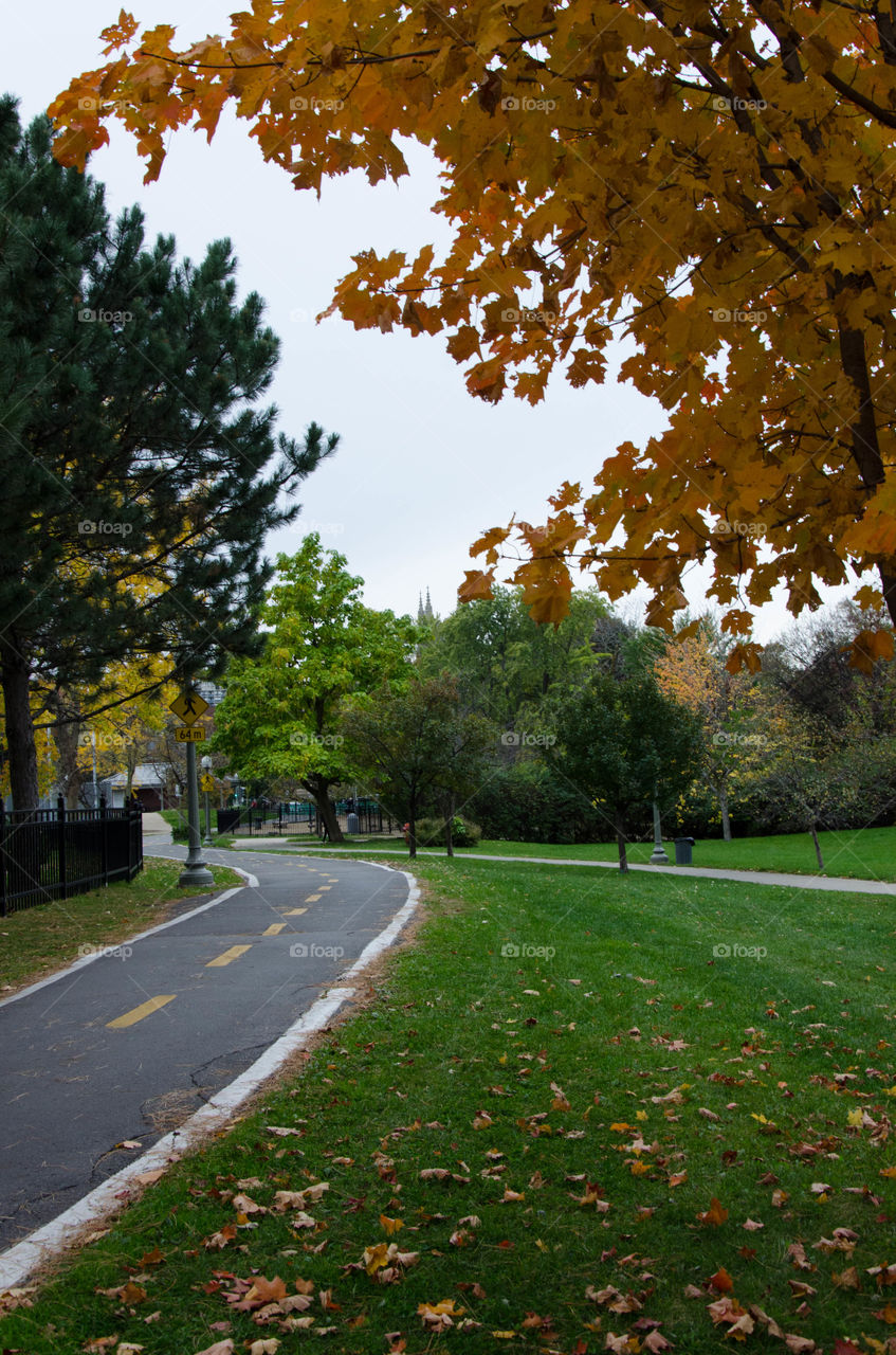 A bicycle path running through the city park in the beginning of fall 