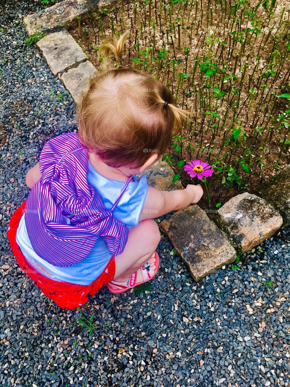 My daughter and the first flower of spring!  Long live the flowers and the purity of children. / Minha filha e a primeira flor da primavera! Viva as flores e a pureza das crianças.