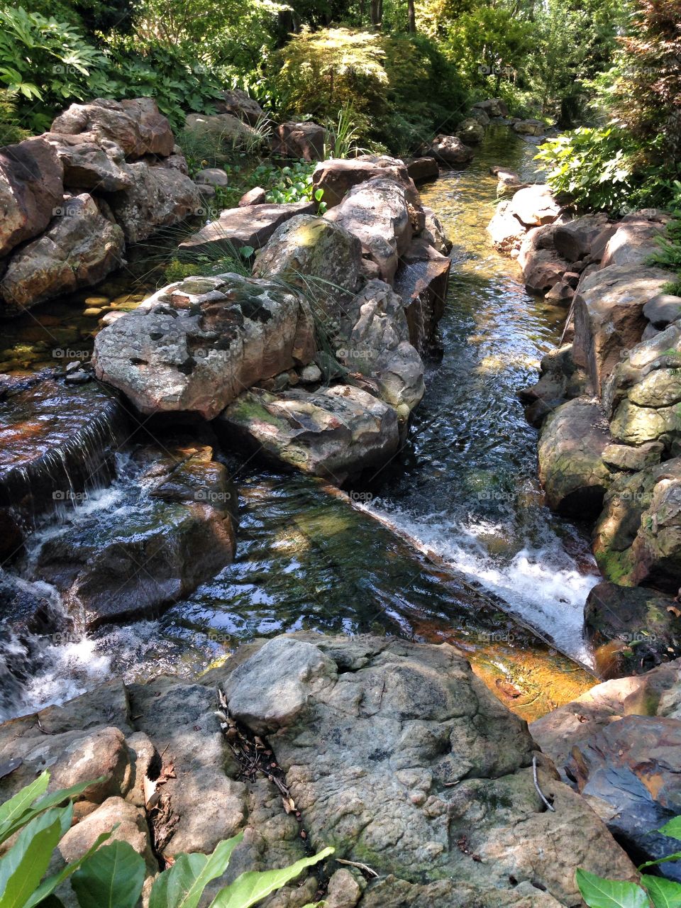 Flowing beauty. Waterfall at a nature park