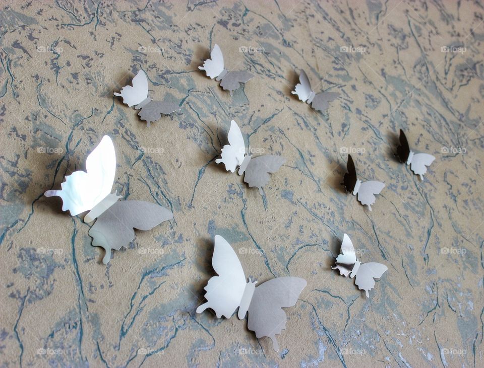 Butterfly mirrors on the wall