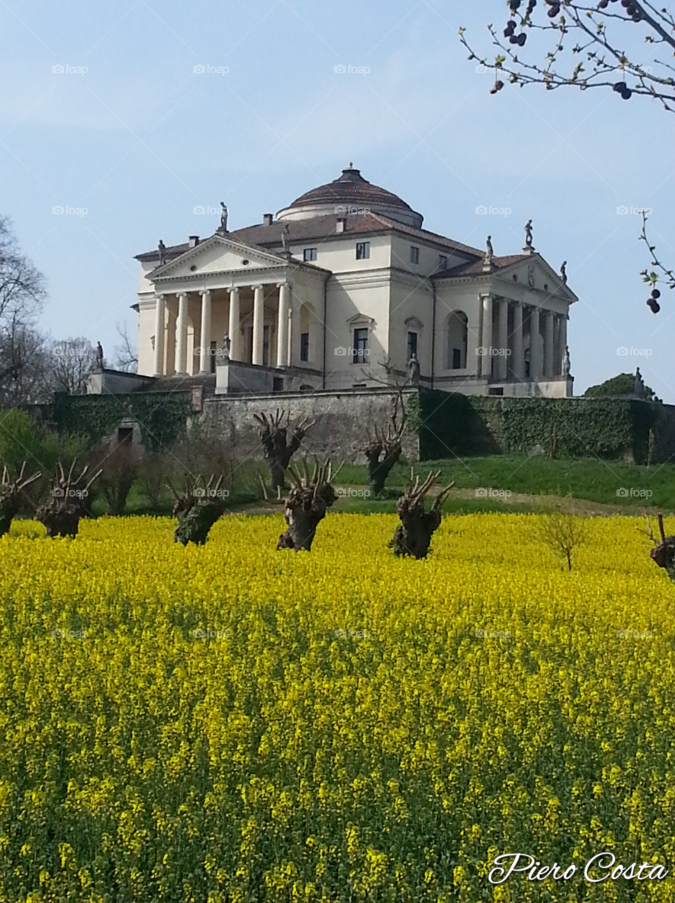 villa palladio