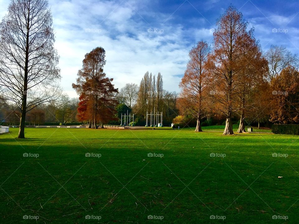 A fall scene in a park in London shows orange and auburn tree leaves and a field of deep green grass