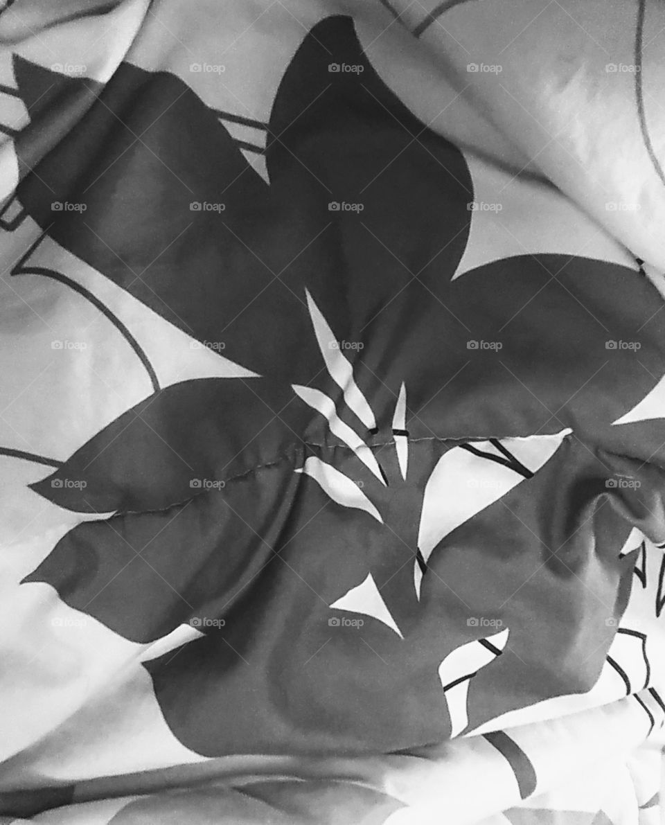 leaf, blanket, black and white