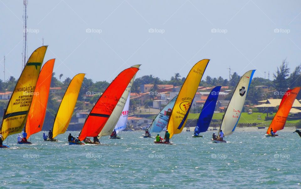 Sail boats. Sail boats competition 