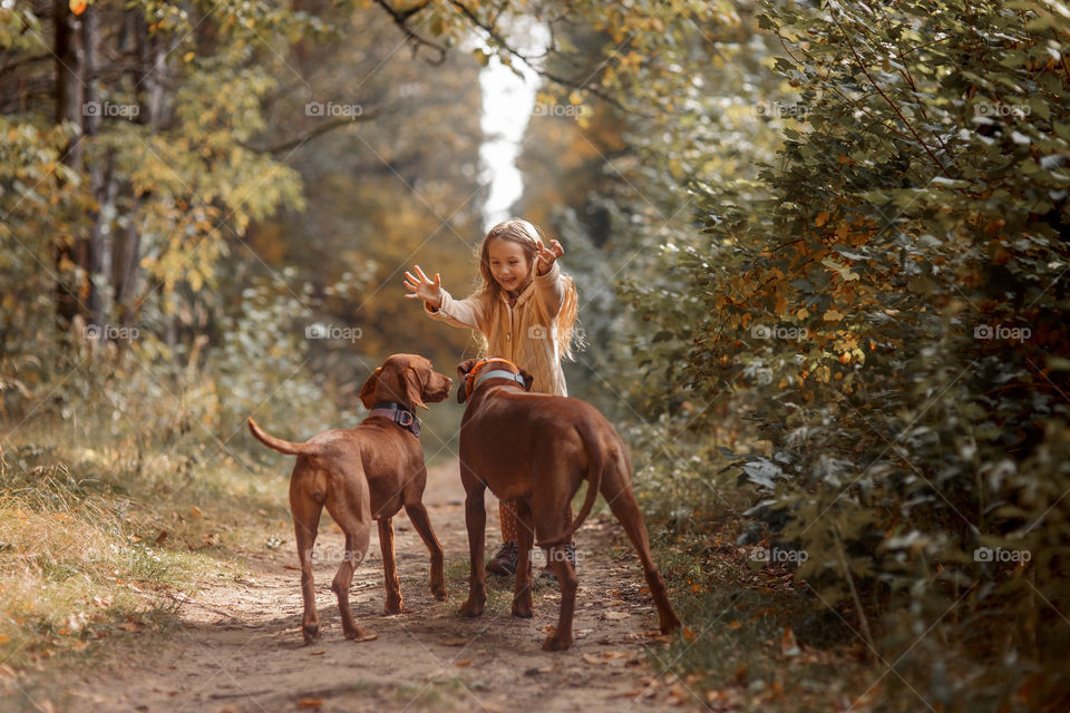 Little girl playing with dogs in an autumn park