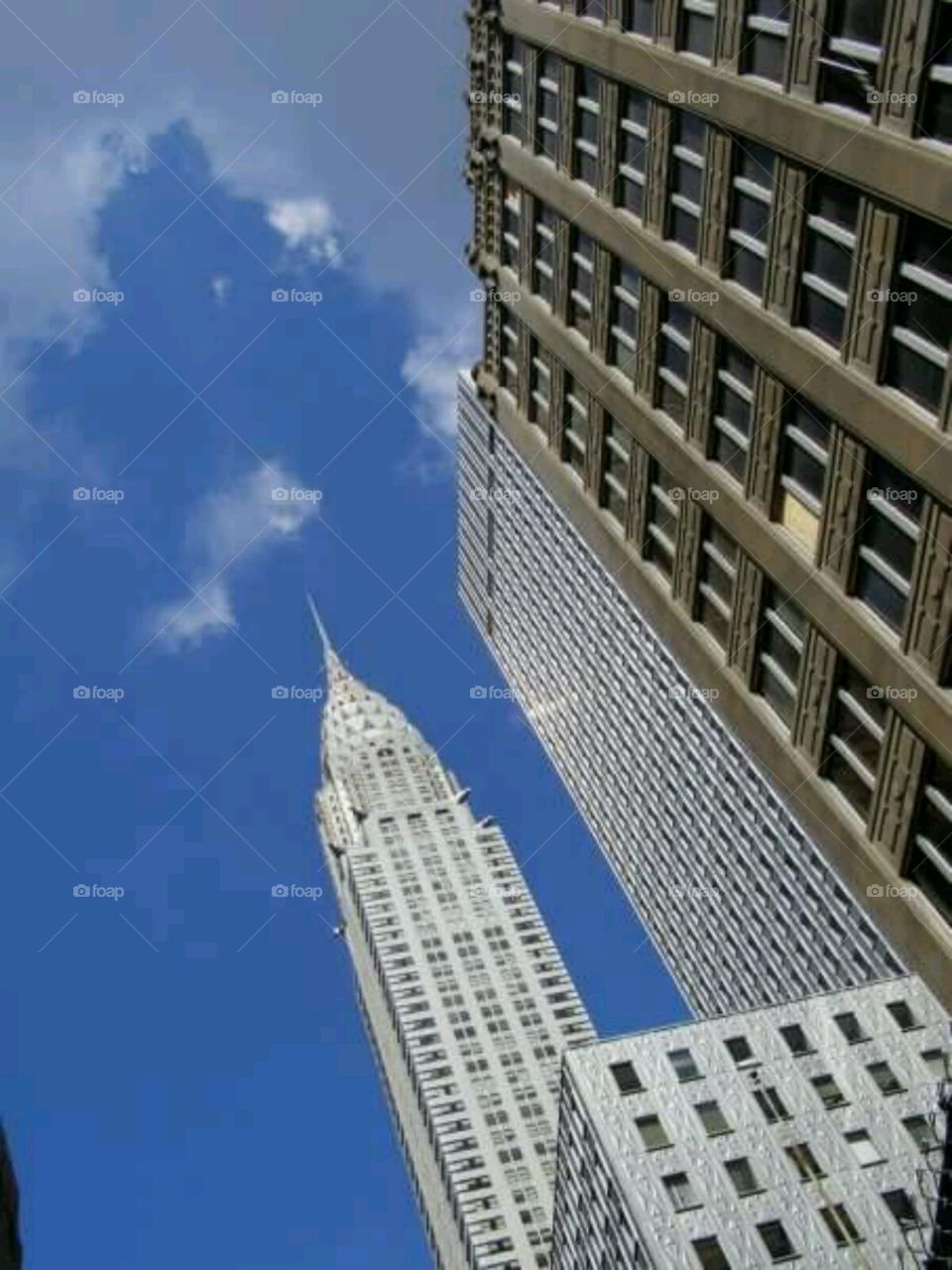 city skies. always looking up in NYC