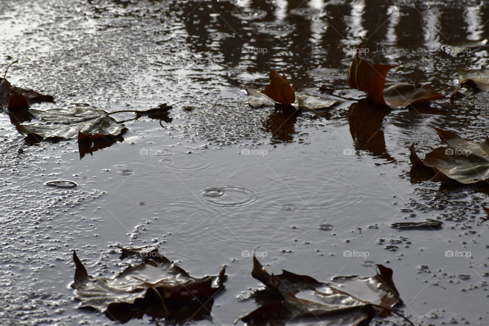 Rain Droplets Falling on Ground 