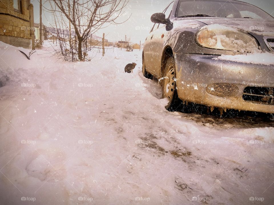 winter and car