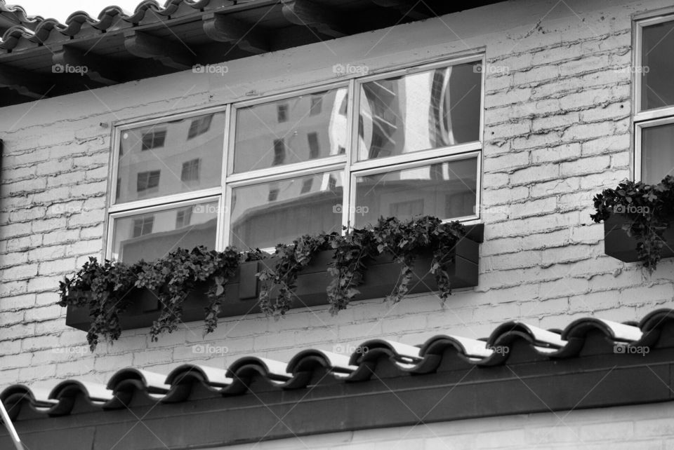 Black and white architecture 