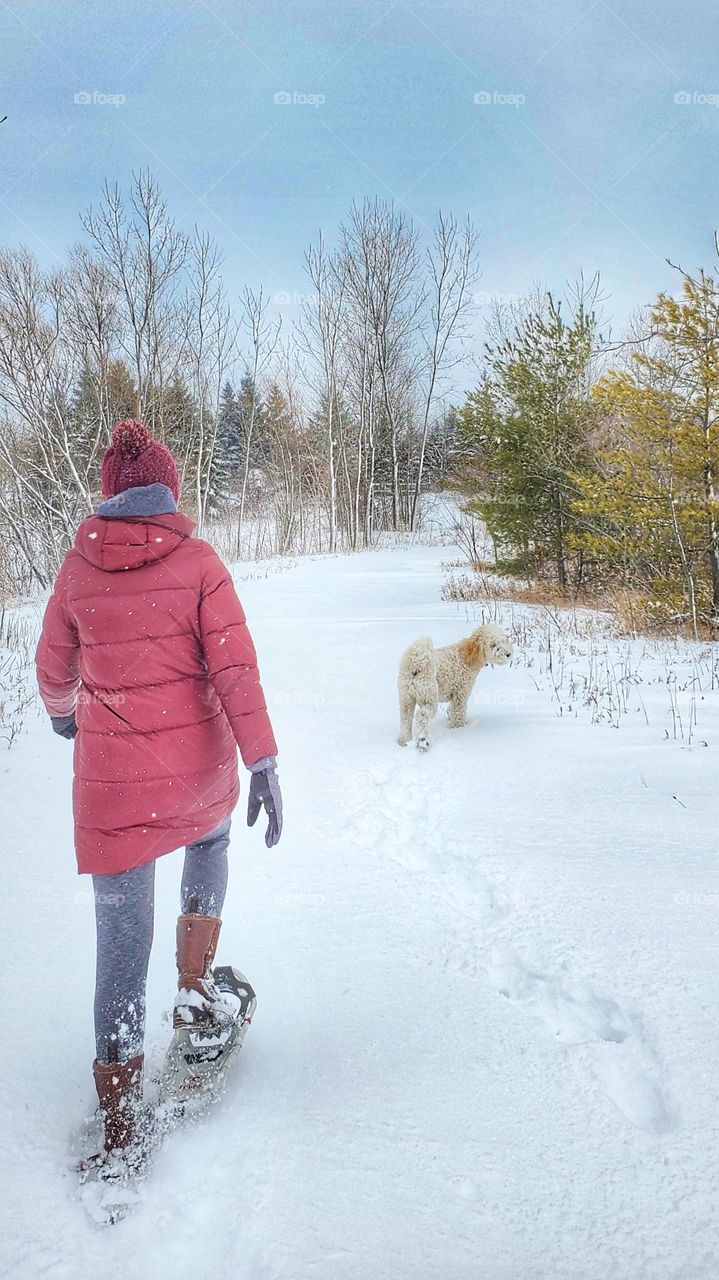 woman bikes in snow shoes with dog